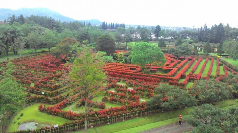 10 Tempat Wisata di Puncak Dekat Jakarta untuk Liburan Bareng Keluarga, 1. Taman Safari Indonesia, 2. Dairyland Farm Theme Park, 3. The Ranch Puncak, 4. MiniMania Puncak, 5. Little Venice Puncak, 6. Nicole's River Park, 7. Taman Bunga Nusantara, 8. Melrimba Garden, 9. Kebun Raya Cibodas, 10. Telaga Warna Resort n Resto
