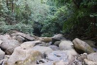Array,Air Terjun di Ibu Kota Baru: Kenyataan Tak Seindah Instagram