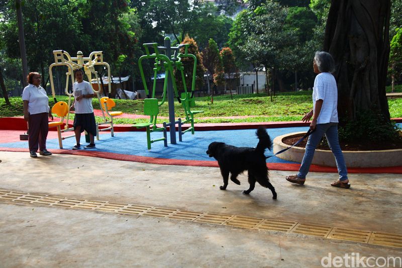 Healing Gratis? Ini 6 Taman Kota yang Bikin Nyaman Banget, Taman Ayodya, Taman Langsat, Taman Mataram, Taman Spathodea, Taman Tabebuya, Tebet Eco Park