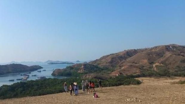 Selain Bukit Warinding di Sumba, Ini Daftar Sabana yang Ada di Indonesia, 1. Sabana Bekol, Jawa Timur, 2. Sabana Gunung Bromo, Jawa Timur, 3. Sabana Dieng, Jawa Tengah, 4. Sabana Puru Kambera, NTT, 5. Sabana Pulau Komodo, NTT, 6. Sabana Pulau Rinca, NTT, 7. Sabana Merauke, Papua Selatan