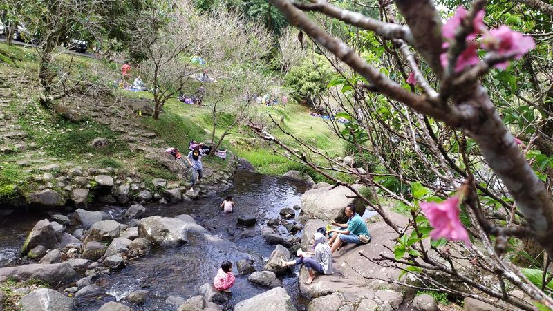 10 Tempat Wisata di Puncak Dekat Jakarta untuk Liburan Bareng Keluarga, 1. Taman Safari Indonesia, 2. Dairyland Farm Theme Park, 3. The Ranch Puncak, 4. MiniMania Puncak, 5. Little Venice Puncak, 6. Nicole's River Park, 7. Taman Bunga Nusantara, 8. Melrimba Garden, 9. Kebun Raya Cibodas, 10. Telaga Warna Resort n Resto