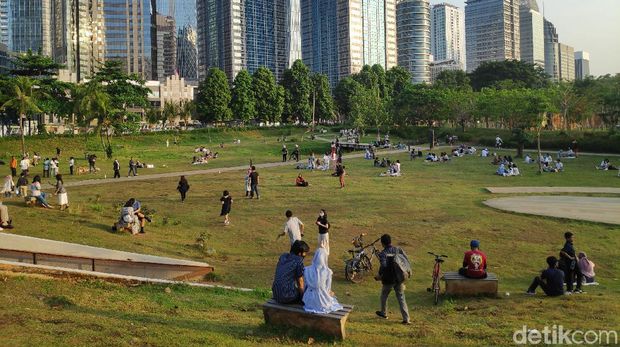 Array,Cara ke Hutan Kota GBK: Jam Buka dan Fasilitasnya