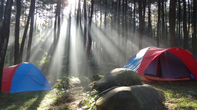 4 Rekomendasi Tempat Wisata Sejuk dan Sepi Dekat Jakarta, 1. Kawasan Sentul, 2. Kawasan Puncak, 3. Gunung Bunder, 4. Kota Bogor