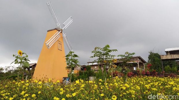 Top 5+ Wisata Kuningan Buat Rilekskan Pikiran, Apa Saja?, 1. Wisata Alam Cipaniis, 2. Gunung Ciremai, 3. Talaga Biru Cicerem, 4. Kebun Raya Kuningan, 5. Taman Bunga Celosia, 3. Talaga Biru Cicerem, 4. Kebun Raya Kuningan, 5. Taman Bunga Celosia