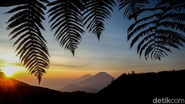 5 Gunung Terindah di Jawa Tengah untuk Liburan di Akhir Pekan, 1. Gunung Prau, 2. Gunung Merbabu, 3. Gunung Sindoro, 4. Gunung Andong, 5. Gunung Sumbing