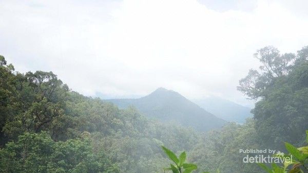 12 Gunung di Indonesia yang Cocok untuk Pendaki Pemula, 1. Gunung Gede-Pangrango (Jawa Barat), 2. Gunung Bromo (Jawa Timur), 3. Gunung Prau (Jawa Tengah), 4. Gunung Kelimutu (Nusa Tenggara Timur), 5. Gunung Papandayan (Jawa Barat), 6. Gunung Andong (Jawa Tengah), 7. Gunung Batur (Bali), 8. Gunung Burangrang (Jawa Barat), 9. Gunung Ijen (Jawa Timur), 10. Gunung Sibayak (Sumatera Utara), 11. Gunung Sindoro, 12. Gunung Tanggamus (Lampung)