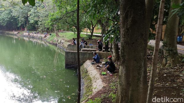 Panduan ke Hutan Kota Srengseng: Sejarah, Jam Buka, hingga Fasilitasnya, Sejarah Hutan Kota Srengseng, Cara ke Hutan Kota Srengseng, Jam Buka dan Tiket Masuk Hutan Kota Srengseng, Fasilitas di Hutan Kota Srengseng, Aktivitas yang Bisa Dilakukan di Hutan Kota Srengseng