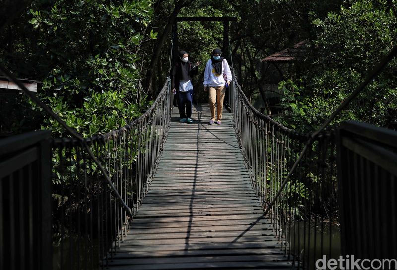 Top 15+ Rekomendasi Tempat Jalan-jalan di Jakarta, Biar Nggak Melulu ke Mal, 1. M Bloc Space, 2. Kawasan Wisata Kota Tua Jakarta, 3. Pos Bloc, 4. Monas, 5. Trans Studio Cibubur, 6. Hutan Mangrove PIK, 7. Pantai Ancol, 8. Taman Ismail Marzuki (TIM), 9. Taman Suropati, 10. Taman Menteng, 11. Tebet Eco Park, 12. Taman Cattleya, 13. Hutan Kota GBK, 14. Moja Museum, 15. Museum MACAN