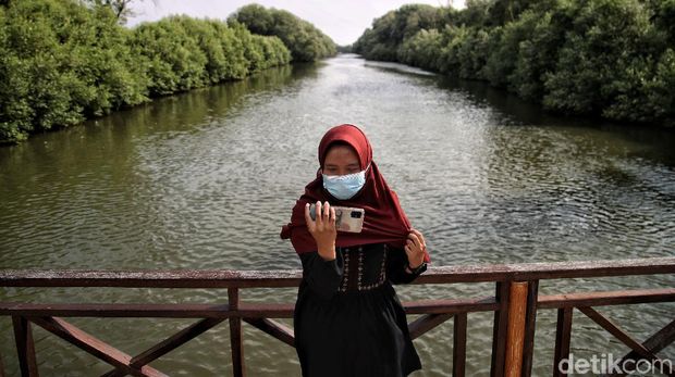 Healing Tanpa Sinyal: Tempat-Tempat yang Bikin Tenang Total, 1. Pantai Pasir Perawan, 2. Kampung Adat Baduy Dalam, 3. Trekking di Sentul , 4. Hutan Mangrove PIK, 5. Kebun Teh Gambung Ciwidey, 6. Telaga Sunyi, 7. Taman Literasi Martha Tiahahu