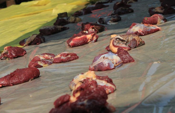 Bolehkah Daging Kurban Disimpan Melebihi Hari Tasyrik? Ini Kata Ustaz, 1. Penjelasan Ustaz Abdul Somad, 2. Hadis yang melarang simpan daging kurban, 3. Penjelasan Ustaz Khalid Basalamah, 4. Pendapat ulama fiqih