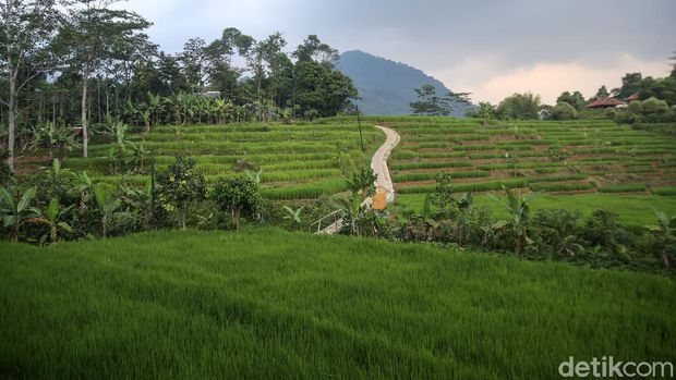 4 Rekomendasi Tempat Wisata Sejuk dan Sepi Dekat Jakarta, 1. Kawasan Sentul, 2. Kawasan Puncak, 3. Gunung Bunder, 4. Kota Bogor