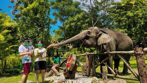 Top 10+ Wisata Sekitar Candi Prambanan, Cocok Buat Anak dan Keluarga, 1. Sendratari Ramayana, 2. Candi Ratu Boko, 3. Candi Sewu, 4. Tebing Breksi, 5. Kids Fun Park, 6. Waterboom Jogja, 7. Obelix Hills, 8. HeHa Skyview, 9. Bukit Bintang, 10. Gembira Loka Zoo