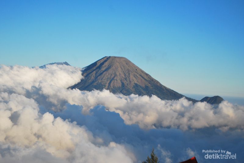 Array,12 Gunung untuk Pendaki Pemula di Jabar, Jateng, Jatim