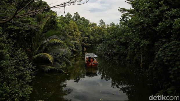 Array,Seru Banget...! Susur 'Sungai Amazon' di Ancol