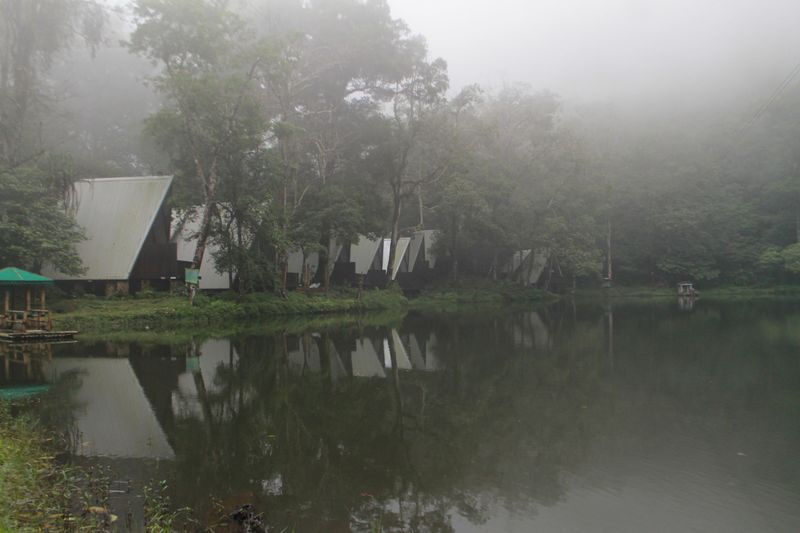 10 Tempat Wisata di Puncak Dekat Jakarta untuk Liburan Bareng Keluarga, 1. Taman Safari Indonesia, 2. Dairyland Farm Theme Park, 3. The Ranch Puncak, 4. MiniMania Puncak, 5. Little Venice Puncak, 6. Nicole's River Park, 7. Taman Bunga Nusantara, 8. Melrimba Garden, 9. Kebun Raya Cibodas, 10. Telaga Warna Resort n Resto