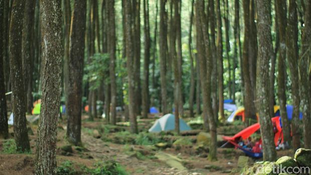 12 Camping Ground Terbaik 2025 di Bogor untuk Liburan Bareng Teman dan Keluarga, 1. Bumi Kepanduan Sentul, Bogor, 2. Agrowisata Gunung Mas, 3. Highland Camp Curug Panjang, 4. Camp Hulu Cai, 5. Gunung Pancar, Bogor, 6. Camp Gayatri Mountain Adventure, 7. Suaka Elang Loji, 8. Eagle Hill Outbound, 9. Lembah Salak Camping Ground, 10. Curug Cipamingkis, 11. Bukit Cirampak Camping Ground, 12. Kawah Ratu