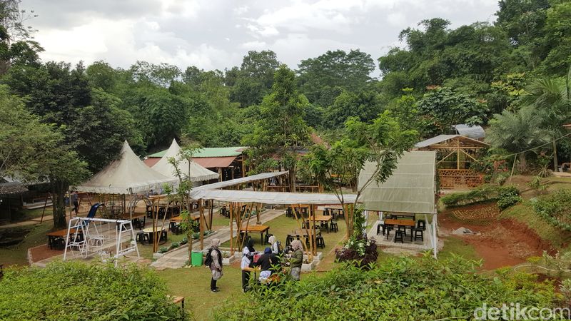 5 Tempat Back to Nature yang Ramah Anak, Murah, Sekitar Jakarta, 1. Taman Margasatwa Ragunan, 2. Kampung Konservasi RIMBUN, 3. Kampung Main Cipulir (KMC), 4. Taman Wisata Lebah (TWL), 5. Scientia Square Park (SQP)