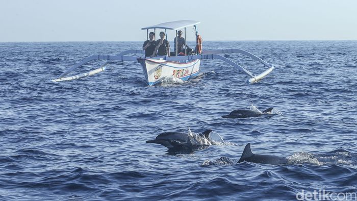 Array,Catat! Ini 6 Tips Wisata ke Bali Utara