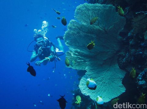 Top 10+ Wisata Alam Terbaik di Indonesia, Tersebar dari Barat ke Timur, 1. Labuan Bajo, 2. Gunung Bromo, 3. Raja Ampat, 4. Kepulauan Derawan, 6. Candi Borobudur, 7. Kepulauan Gili, 8. Danau Toba, 9. Kepulauan Wakatobi, 10. Tanjung Kelayang