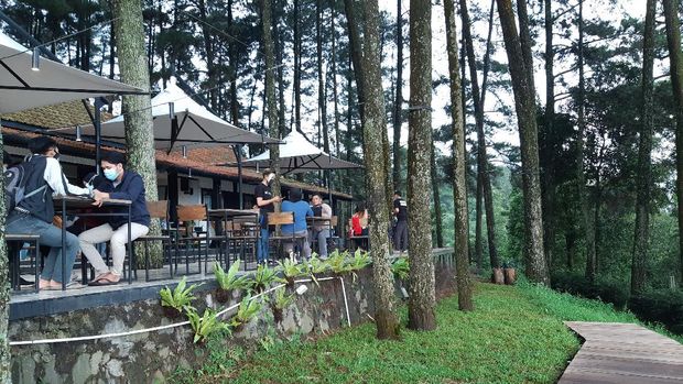 Array,Mau Ngopi Sejuk nan Romantis, Cobalah ke Perbukitan Pasir Angin Bogor