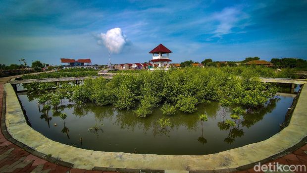 8 Wisata Alam Hits dan Murah di Tangerang, Yuk Healing Gratis, 1. Pantai Tanjung Pasir, 2. Tebing Koja, 3. Telaga Biru Cisoka, 4. Kebun Latte, 5. Situ Cipondoh, 6. Danau Cihuni, 7. Taman Mangrove Ketapang, 8. Pulau Cangkir