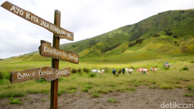 Selain Bukit Warinding di Sumba, Ini Daftar Sabana yang Ada di Indonesia, 1. Sabana Bekol, Jawa Timur, 2. Sabana Gunung Bromo, Jawa Timur, 3. Sabana Dieng, Jawa Tengah, 4. Sabana Puru Kambera, NTT, 5. Sabana Pulau Komodo, NTT, 6. Sabana Pulau Rinca, NTT, 7. Sabana Merauke, Papua Selatan