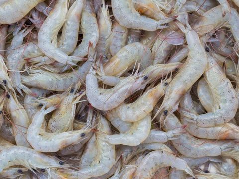 Array,Resep Sambal Goreng Udang dan Kentang, Lauk Klasik yang Pedas Mantap