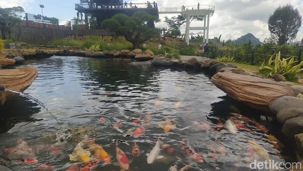Eksplorasi Keindahan Sigandul View Temanggung, Tempat Wisata dan Relaksasi, 1. Coffee dan Resto, 2. Taman Kelinci, 3. Jembatan Kaca, 4. Meeting Room, 5. Kolam Ikan, 6. Restoran, 7. Villa, 8. Tempat Reservasi