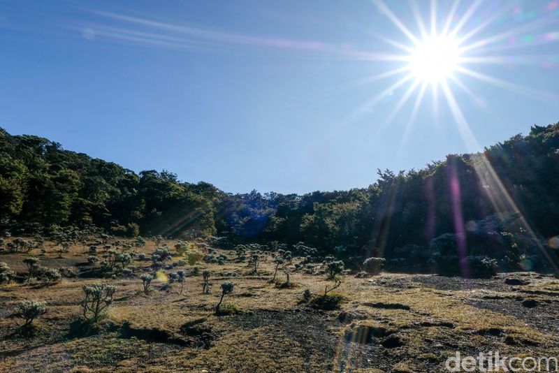 7 Gunung di Jawa Barat untuk Pendaki Pemula, Trek Landai-Panorama Cantik, 1. Gunung Gede, 2. Gunung Papandayan, 3. Gunung Burangrang, 4. Gunung Pangrango, 5. Gunung Guntur, 6. Gunung Putri, 7. Gunung Kerenceng