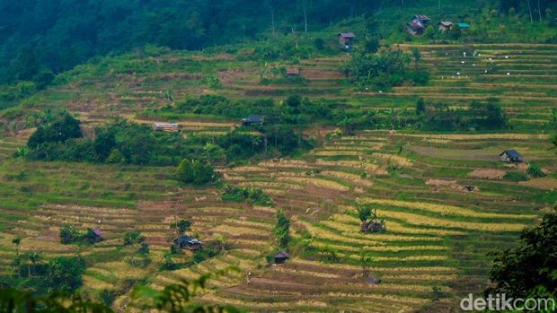 Rekomendasi Libur Nataru: Desa Wisata Malasari dan Fakta-fakta Menariknya, 1. Hamparan Kekayaan Alam yang Indah, 2. Ruang Pelestarian Budaya, 3. Saksi Sejarah Kabupaten Bogor, 4. Pusat Keanekaragaman Hayati