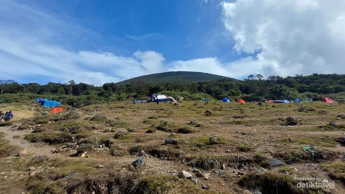 Top 8+ Gunung di Jawa Barat yang Cocok untuk Pendaki Pemula, 1. Gunung Gede, 2. Gunung Papandayan, 3. Gunung Kencana, 4. Gunung Guntur, 5. Gunung Burangrang, 6. Gunung Kerenceng, 7. Gunung Putri, 8. Gunung Malabar