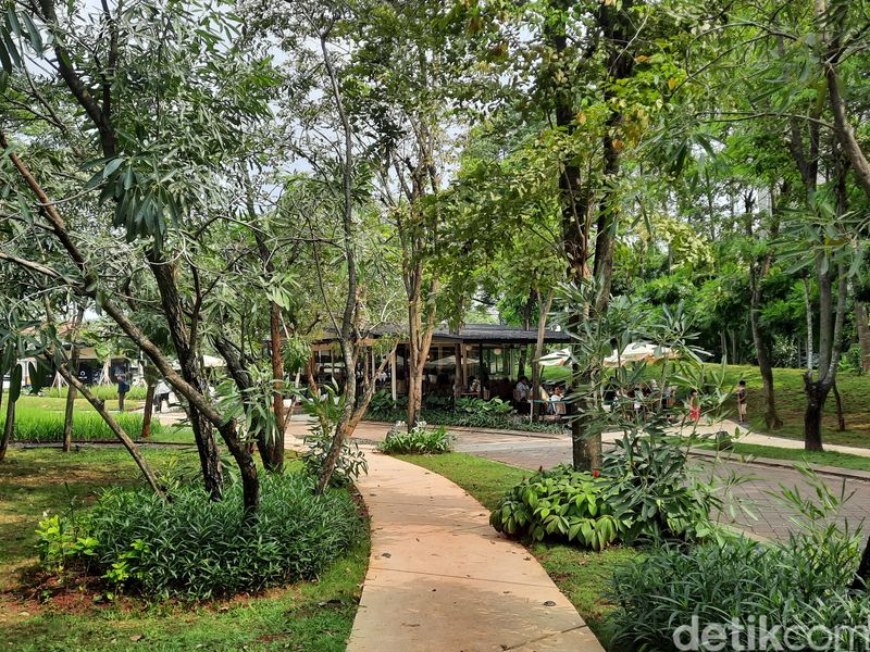 5 Tempat yang Dikenal Adem dan Sunyi, Cocok untuk Introvert, 1. Hutan Kota GBK, 2. Erasmus Huis, 3. Urban Forest Cipete, 4. Jakarta Aquarium, 5. Taman Ismail Marzuki