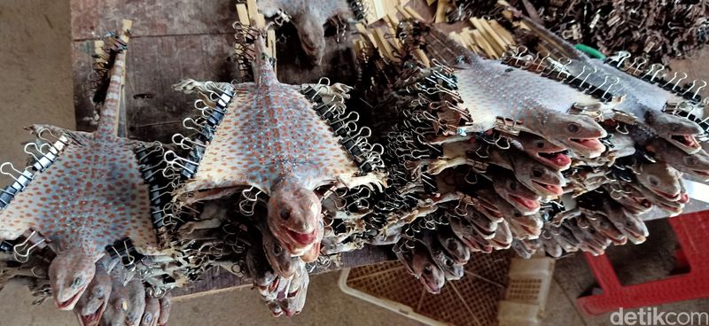 Array,Ngeri! Konten Kreator Jepang Berani Makan Tokek Goreng Utuh