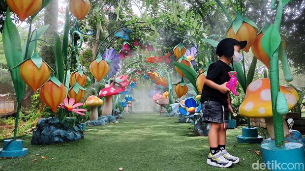 Nggak Perlu Jauh, Ini 8 Spot Wisata Dekat Jakarta Untuk Libur Long Weekend, 1. Tanjung Lesung Beach, 2. Kepulauan Seribu, 3. Puncak, Bogor, 4. Taman Safari Indonesia, 5. Tebing Koja, 6. Scientia Square Park, 7. Orchid Forest Cikole, 8. Trip di Lembang