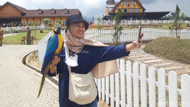 Array,Baru! Cimory Bikin Cepogo Cheese Park di Boyolali