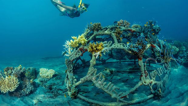 Desa Pemuteran Bali, Desa Terbaik Versi UNWTO 2025, 1. Sejarah Desa Pemuteran, 2. Konservasi Biorock Terumbu Karang, 3. Gerbang Wisata Alam dan Budaya, 4. Destinasi Wisata di Desa Wisata Pemuteran