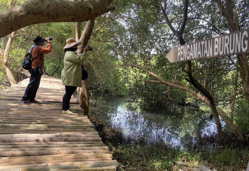 Healing Tipis di Pinggir Kota, Cuma Modal Rp 150 Ribu, 1. Kebun Raya Cibodas, 2. Waduk Cincin Papanggo, Jakarta Utara, 3. Hutan Kota Srengseng Sawah, 4. Taman Wisata Alam (TWA) Angke Kapuk