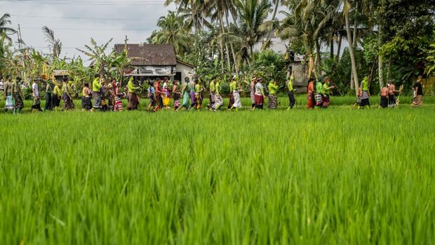 7 Tempat Wisata Viral di Bali ini Cocok Dikunjungi saat Liburan Sekolah, 1. Desa Penglipuran, 4. Tirta Empul, 5. Pura Ulun Danu Beratan, 6. Kebun Raya Bedugul, 7. Trans Studio Bali Theme Park