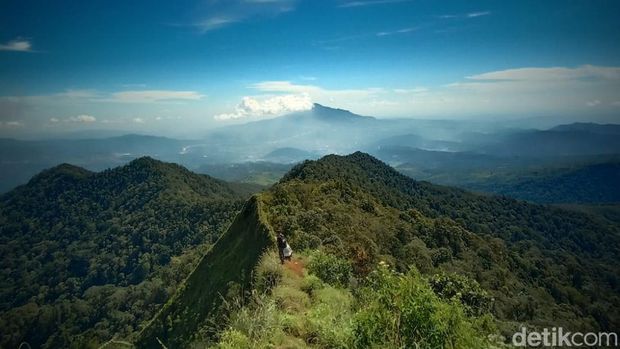 7 Gunung di Jawa Barat untuk Pendaki Pemula, Trek Landai-Panorama Cantik, 1. Gunung Gede, 2. Gunung Papandayan, 3. Gunung Burangrang, 4. Gunung Pangrango, 5. Gunung Guntur, 6. Gunung Putri, 7. Gunung Kerenceng