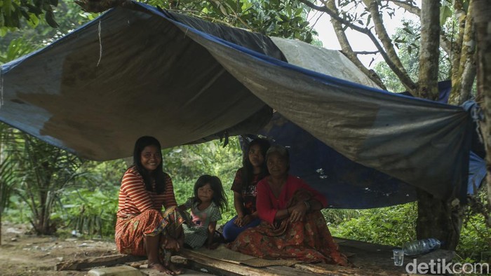 Array,Suku Anak Dalam Jambi, Asal-usul, Kehidupan, dan Tradisi