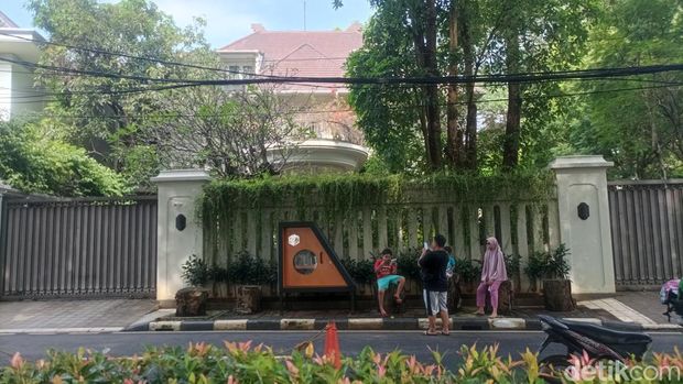 Array,Asri Banget! Taman Situ Lembang Punya Koleksi Tumbuhan Beragam