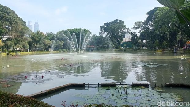 Array,Asri Banget! Taman Situ Lembang Punya Koleksi Tumbuhan Beragam