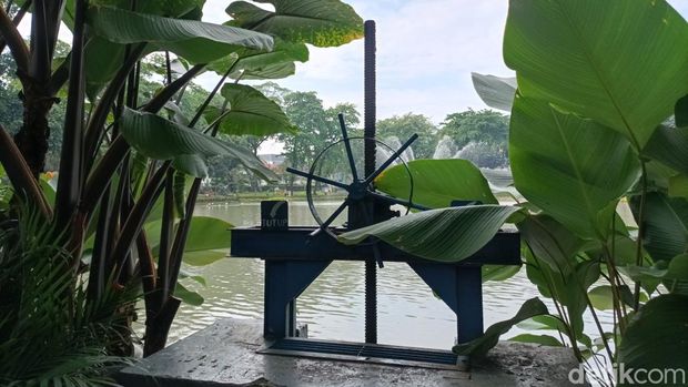 Array,Asri Banget! Taman Situ Lembang Punya Koleksi Tumbuhan Beragam