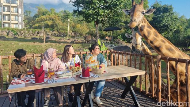 Array,Selepas Mengabdi, Gaji KPPS Bisa Buat Staycation ke Sini!