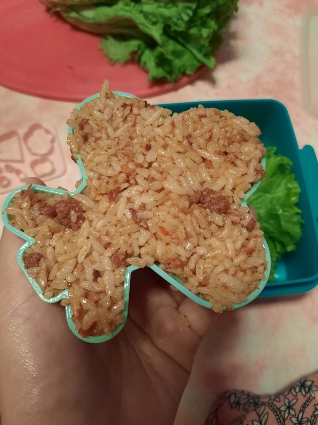 Array,Resep Pembaca : Nasi Goreng Bentuk Pesawat untuk Bekal Anak