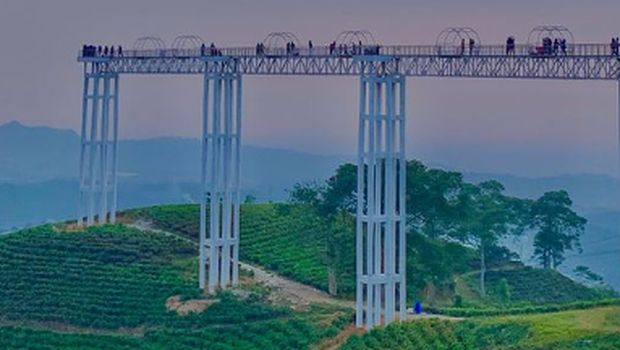 Array,Keajaiban Jembatan Kaca Transparan Pemisah Kebun Teh dan Langit