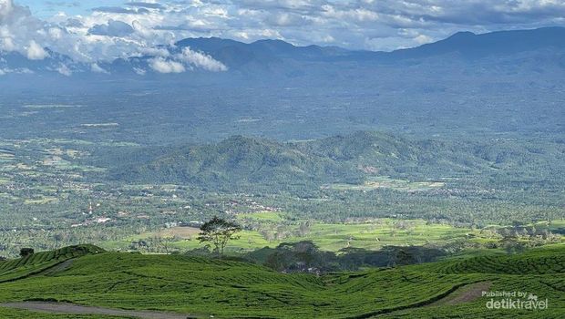 10 Rekomendasi Wisata di Kota Pagar Alam, Air Terjun-Camping di Atas Awan, 1. Kebun Teh Gunung Dempo, 2. Tangga 2001, 3. Puncak Tugu Rimau, 4. Kebun Raya Dempo, 5. Air Terjun Lematang Indah, 6. Air Terjun Penumpahan, 7. Curup Tujuh Kenangan, 8. Curup Mangkok, 9. Curup Embun, 10. Green Paradise