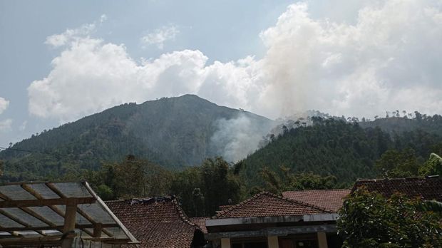 Array,12 Gunung untuk Pendaki Pemula di Jabar, Jateng, Jatim