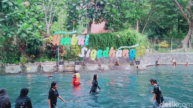 Segarnya Umbul Sigedang-Kapilaler, Kolam Alami di Bawah Beringin Raksasa, Asal Usul Nama Umbul Sigedang-Kapilaler, Memiliki Dua Mata Air, Daya Tarik Umbul Sigedang-Kapilaler, Lokasi Umbul Sigedang-Kapilaler, Fasilitas Umbul Sigedang-Kapilaler, Harga Tiket Masuk dan Jam Buka Umbul Sigedang-Kapilaler