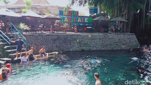 Segarnya Umbul Sigedang-Kapilaler, Kolam Alami di Bawah Beringin Raksasa, Asal Usul Nama Umbul Sigedang-Kapilaler, Memiliki Dua Mata Air, Daya Tarik Umbul Sigedang-Kapilaler, Lokasi Umbul Sigedang-Kapilaler, Fasilitas Umbul Sigedang-Kapilaler, Harga Tiket Masuk dan Jam Buka Umbul Sigedang-Kapilaler